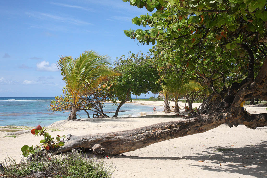 La plage des Raisins Clairs