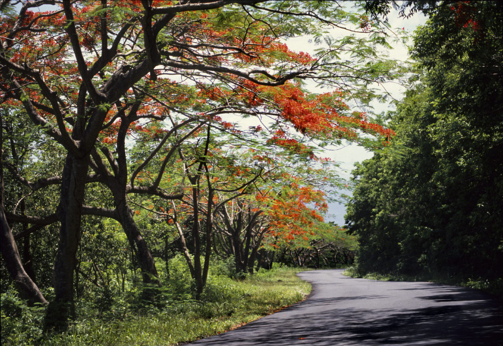 Mamelles Îles de Guadeloupe