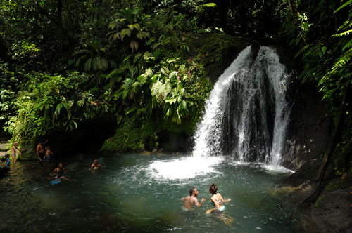 Cascade Ecrevisse Guadeloupe